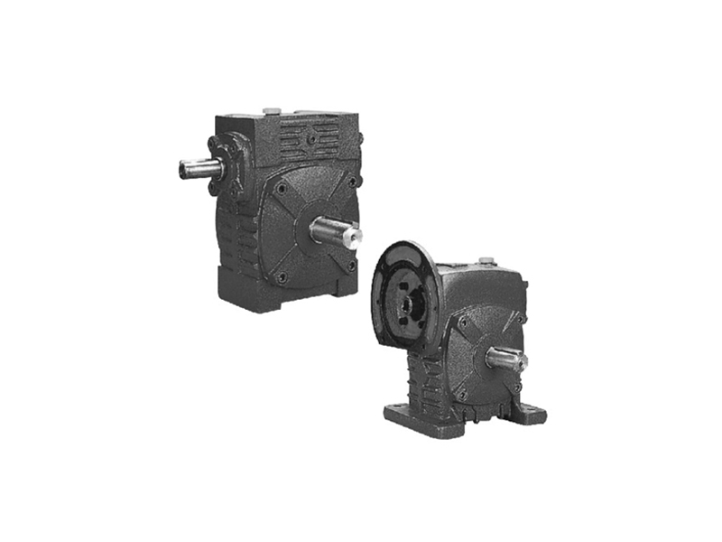 Serie WP Worm Gear reducer