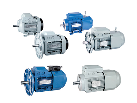 Su experto en soluciones de motores asíncronos trifásicos eficientes y fiables